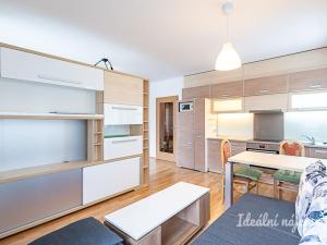 Pronájem bytu 1+kk, Praha - Horní Měcholupy, Padovská, 40 m2