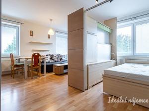 Pronájem bytu 1+kk, Praha - Horní Měcholupy, Padovská, 40 m2