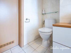 Pronájem bytu 1+kk, Praha - Horní Měcholupy, Padovská, 40 m2