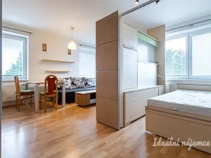 Pronájem bytu 1+kk, Praha - Horní Měcholupy, Padovská, 40 m2