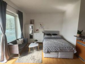 Pronájem bytu 1+kk, Brno, Merhautova, 25 m2