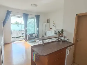Pronájem bytu 1+kk, Brno, Merhautova, 25 m2