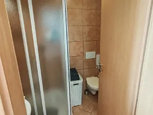 Pronájem bytu 1+kk, Brno, Merhautova, 25 m2