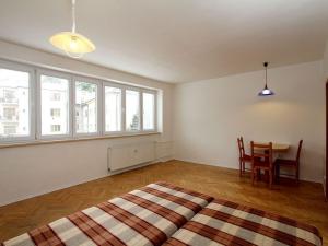 Pronájem bytu 1+kk, Pardubice - Bílé Předměstí, U Kostelíčka, 37 m2