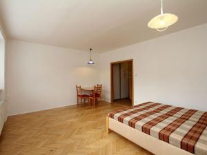 Pronájem bytu 1+kk, Pardubice - Bílé Předměstí, U Kostelíčka, 37 m2