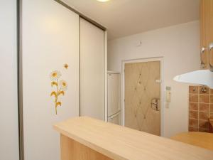 Pronájem bytu 1+kk, Pardubice - Bílé Předměstí, U Kostelíčka, 37 m2