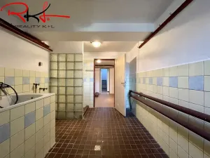 Prodej rodinného domu, Mladá Boleslav - Čejetice, Vodárenská, 122 m2