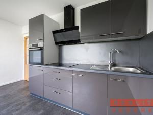 Pronájem rodinného domu, Cheznovice, 220 m2