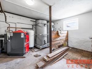 Pronájem rodinného domu, Cheznovice, 220 m2