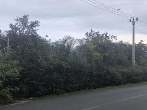 Prodej zahrady, Obrnice, Mírová, 766 m2