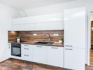 Prodej bytu 1+kk, Liberec - Liberec IV-Perštýn, Na Perštýně, 42 m2