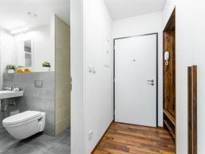 Prodej bytu 1+kk, Liberec - Liberec IV-Perštýn, Na Perštýně, 42 m2