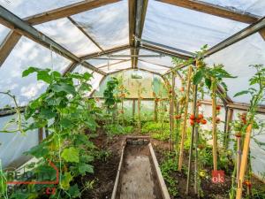 Prodej chaty, Zákupy, 20 m2