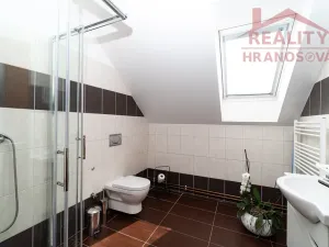 Prodej obchodního prostoru, Dolní Benešov, Vývoz, 31 m2