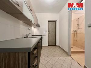 Pronájem bytu 1+1, Jindřichův Hradec - Jindřichův Hradec III, Řečička, 40 m2