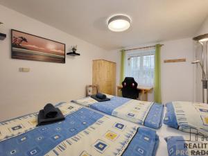 Pronájem rodinného domu, Znojmo, Antonínská, 145 m2