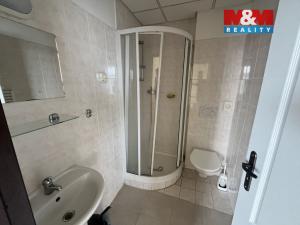 Prodej ubytování, Zásada, 600 m2