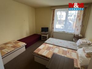 Prodej ubytování, Zásada, 600 m2