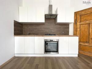 Pronájem bytu 4+kk, Teplice, Křičkova, 95 m2