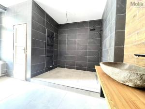 Pronájem bytu 4+kk, Teplice, Křičkova, 95 m2