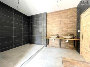 Pronájem bytu 4+kk, Teplice, Křičkova, 95 m2