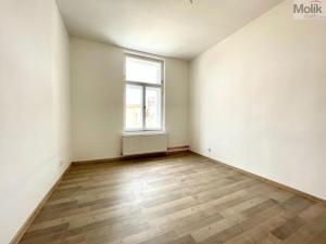 Pronájem bytu 4+kk, Teplice, Křičkova, 95 m2
