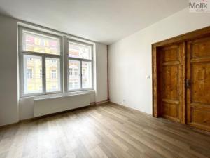 Pronájem bytu 4+kk, Teplice, Křičkova, 95 m2