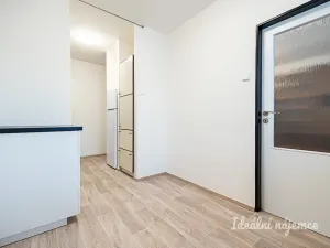 Pronájem bytu 3+kk, Praha - Žižkov, Hartigova, 64 m2