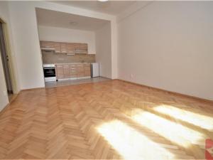 Pronájem bytu 1+kk, Praha - Nusle, Sdružení, 37 m2