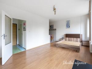 Pronájem bytu 1+kk, Praha - Krč, Tavolníková, 35 m2