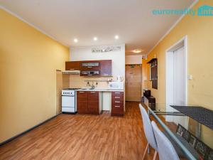 Prodej bytu 1+1, Cheb, Dvořákova, 42 m2
