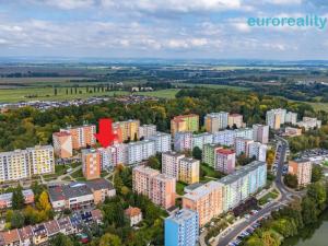 Prodej bytu 1+1, Cheb, Dvořákova, 42 m2