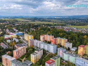 Prodej bytu 1+1, Cheb, Dvořákova, 42 m2