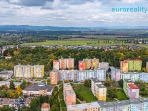 Prodej bytu 1+1, Cheb, Dvořákova, 42 m2