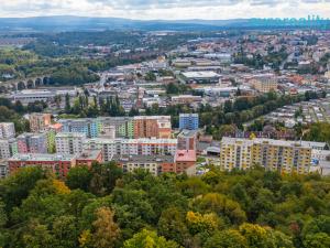 Prodej bytu 1+1, Cheb, Dvořákova, 42 m2