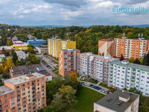 Prodej bytu 1+1, Cheb, Dvořákova, 42 m2