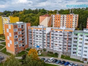 Prodej bytu 1+1, Cheb, Dvořákova, 42 m2