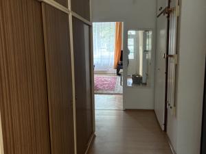 Pronájem bytu 1+1, Pardubice - Zelené Předměstí, Jungmannova, 60 m2