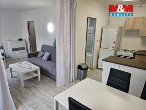Pronájem bytu 1+kk, Nové Strašecí, Topinkova, 33 m2