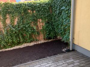 Pronájem bytu 2+kk, Praha - Hostivař, Rychtáře Petříka, 38 m2