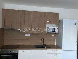 Pronájem bytu 1+kk, České Budějovice, O. Nedbala, 51 m2