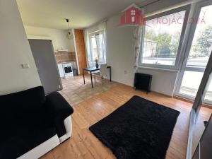Pronájem bytu 1+kk, Vigantice, 39 m2