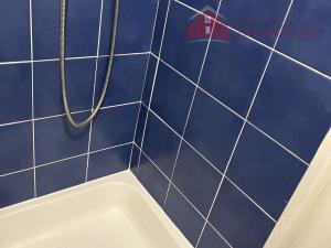 Pronájem bytu 1+kk, Vigantice, 39 m2