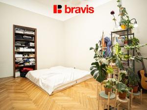 Pronájem bytu 5+1, Brno - Veveří, Jaselská, 165 m2