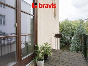 Pronájem bytu 5+1, Brno - Veveří, Jaselská, 165 m2