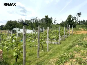 Prodej rodinného domu, Krahulov, 418 m2