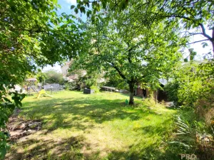 Prodej rodinného domu, Dyje, 120 m2