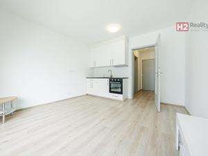 Pronájem bytu 1+kk, Kladno, Vašíčkova, 24 m2