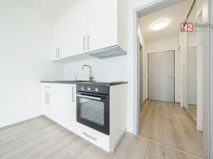 Pronájem bytu 1+kk, Kladno, Vašíčkova, 24 m2