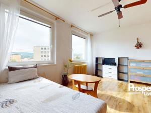 Prodej bytu 2+kk, Ústí nad Labem - Krásné Březno, Žežická, 48 m2